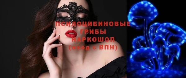 МДПВ Кукмор