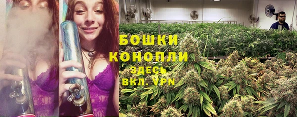 МДПВ Кукмор