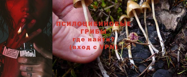хмурый Куйбышев